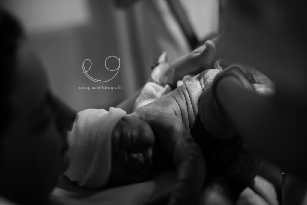 P_Edu_Nacimiento-239